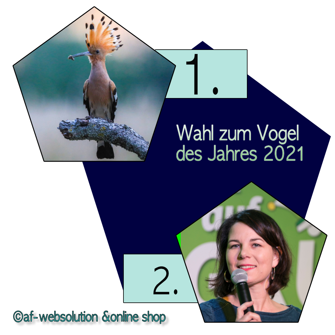 You are currently viewing Wahl zum Vogel des Jahres 2021