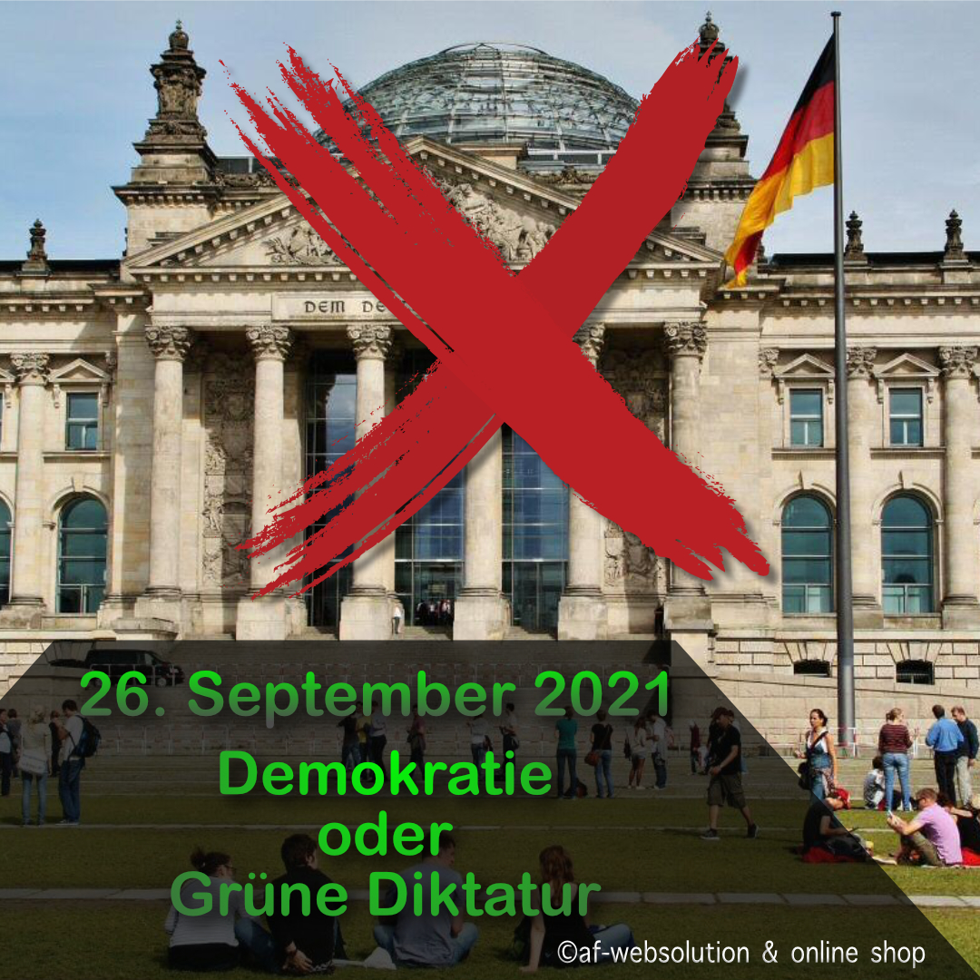 You are currently viewing Demokratieverständnis der Partei „Die Grünen“